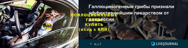 не бодяженный Белокуриха