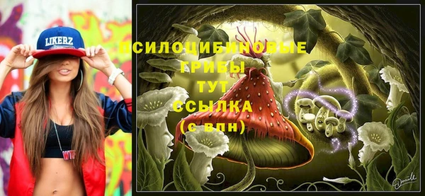 a pvp Беломорск