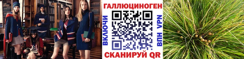 Галлюциногенные грибы GOLDEN TEACHER  kraken рабочий сайт  Реж 
